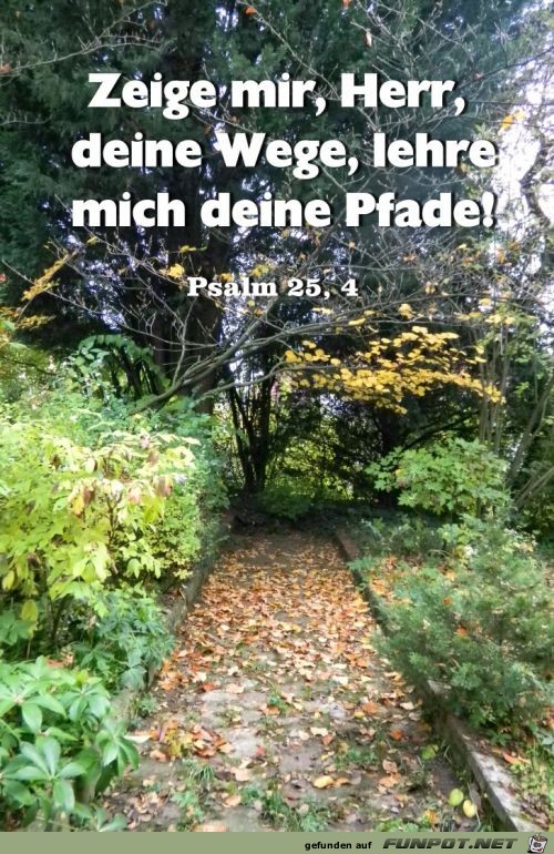 Psalm 25 4