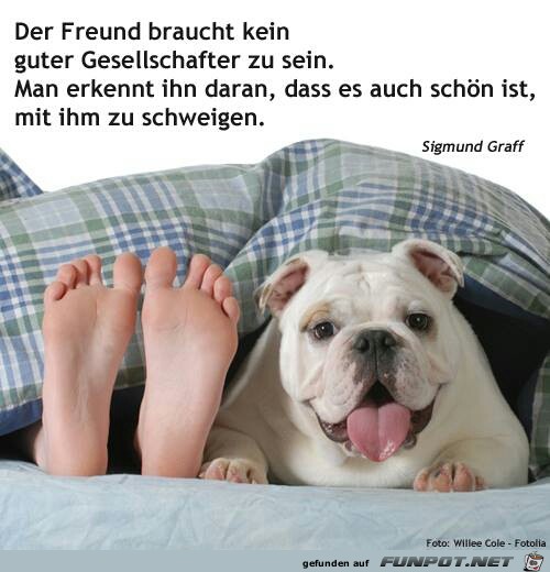 Gesellschafter Gesellschafter