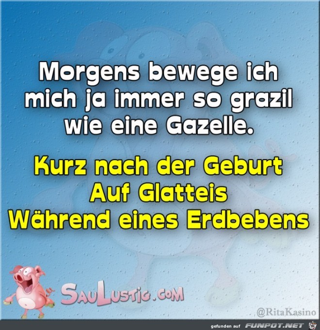 Grazile Gazelle Grazile Gazelle