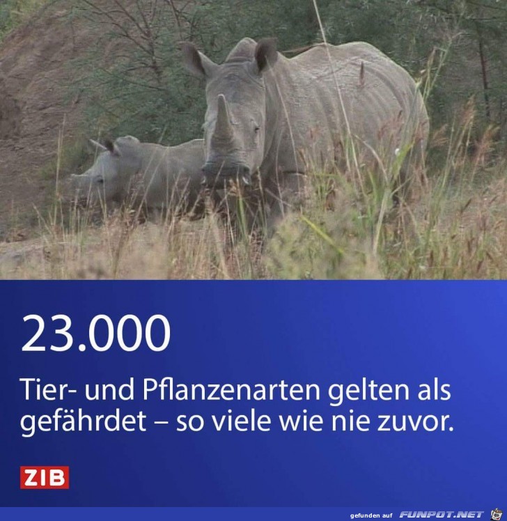 23000 23000