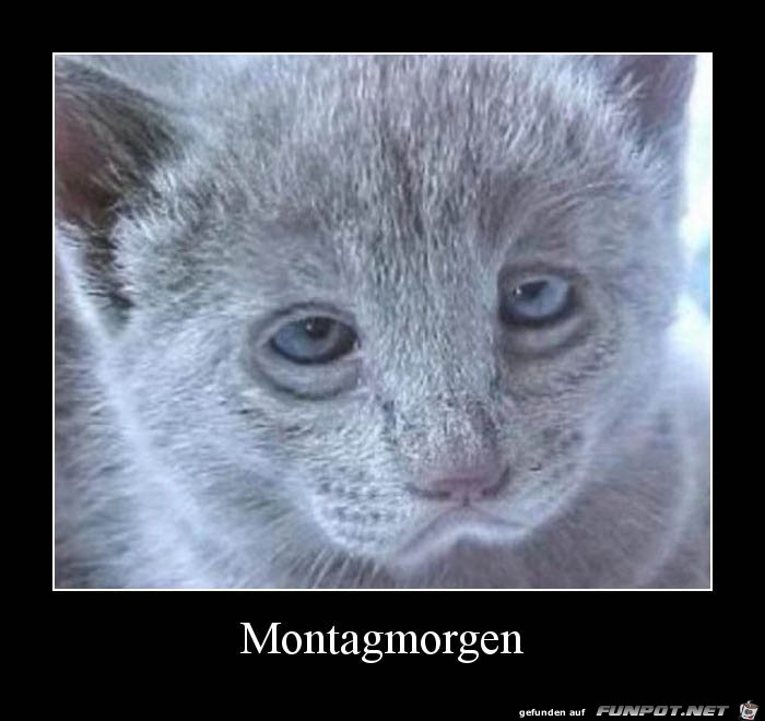 Montagmorgen