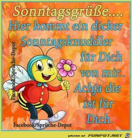 Sonntagsgruesse