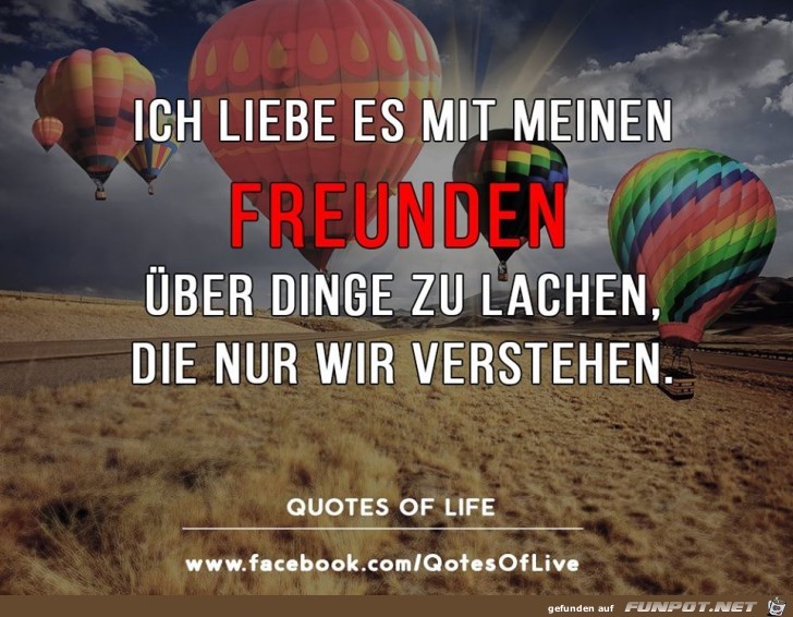 Freunde Freunde