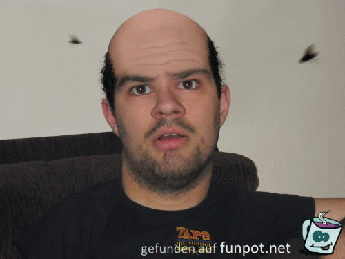 Mücken Mücken
