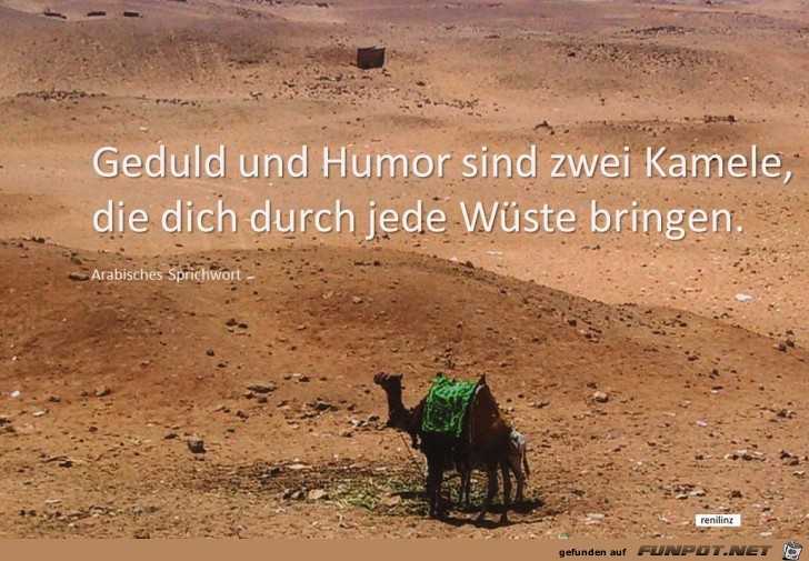 Geduld und Humor