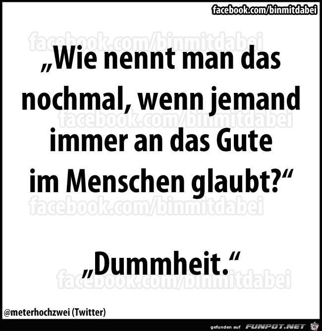 dummheit 