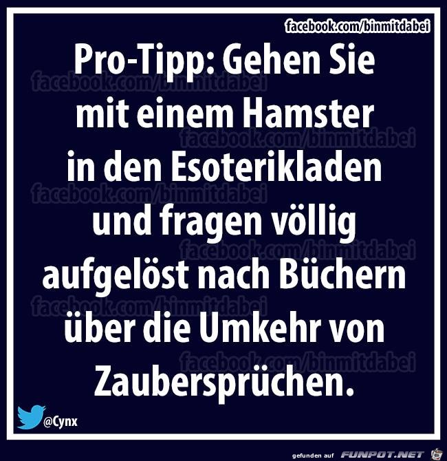 Zauber Zauber