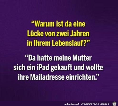 Lebenslauf Lebenslauf