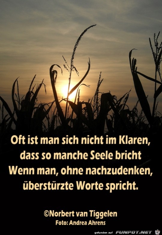 aeueberstaeuerzte worte 