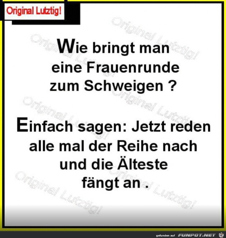 witzige Bilder