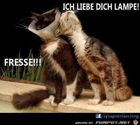 Lampe Lampe