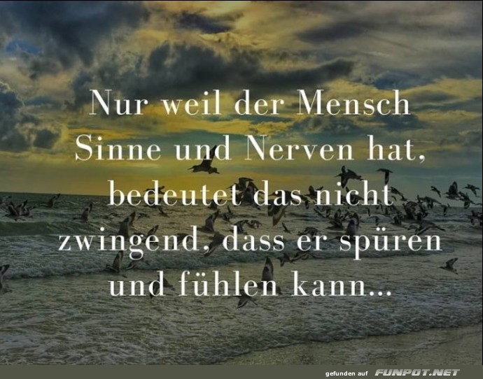 nur-weil-der-mensch- nur-weil-der-mensch-