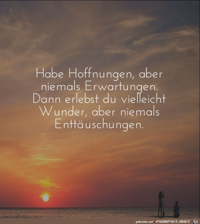 habe-hoffnungen-