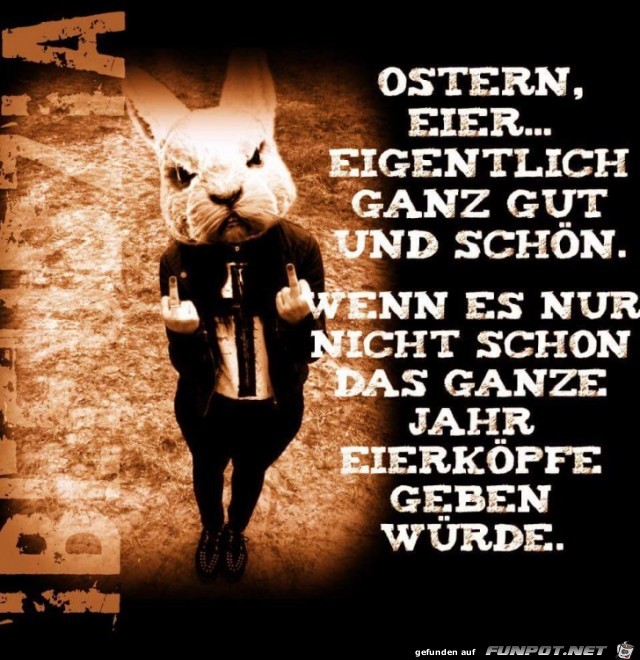 eierkoepfe eierkoepfe