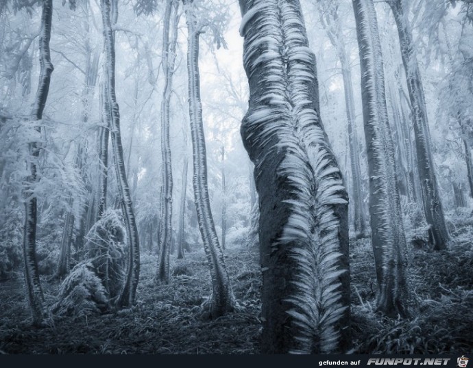 Gigantische Schnee- und Eis-Formationen 20 Gigantische Schnee- und Eis-Formationen 20