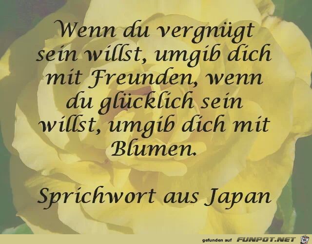 gluecklich sein gluecklich sein