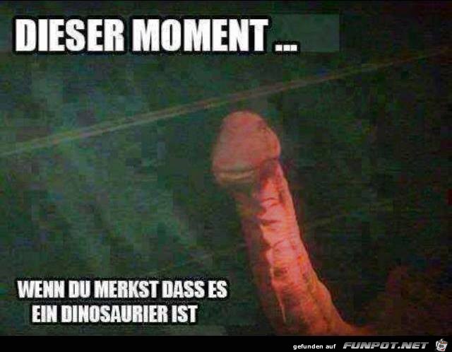 Dieser Moment