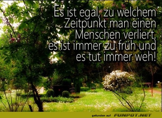 10 schne Sprche und Lebensweisheiten aus...