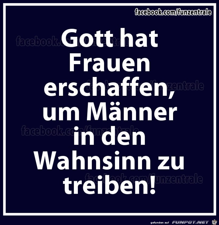 Gott hat Frauen erschaffen Gott hat Frauen erschaffen