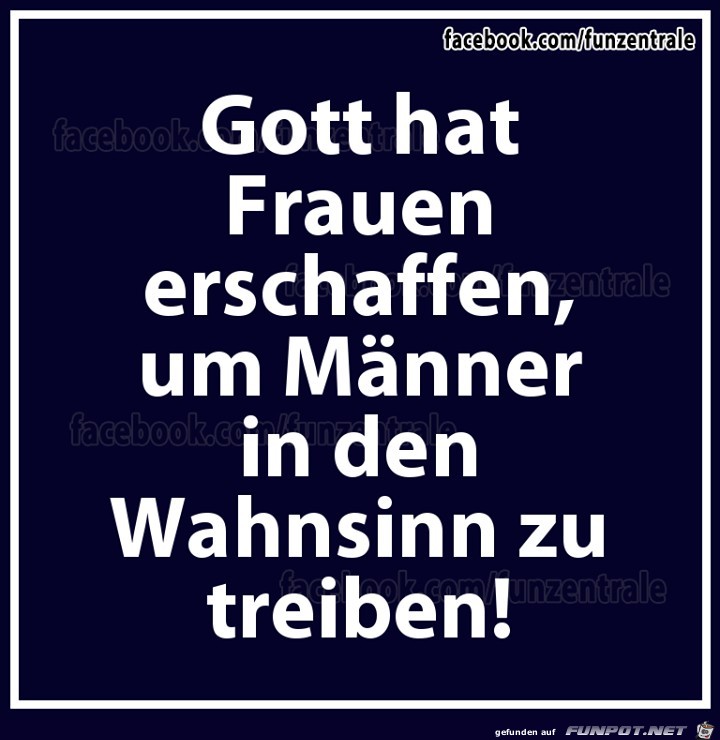 Gott hat Frauen erschaffen