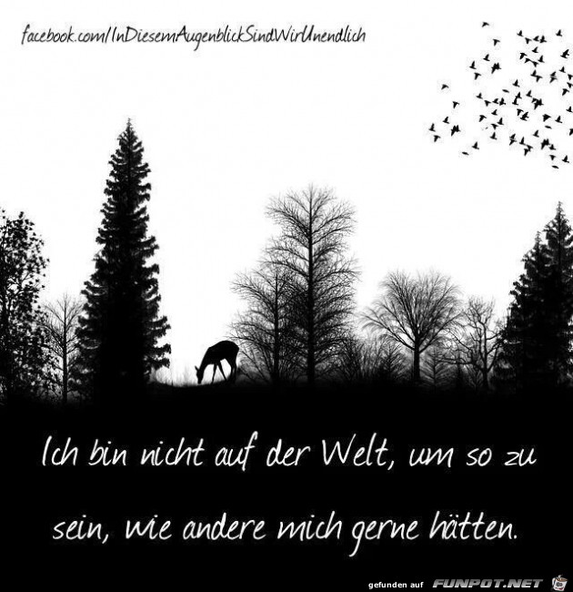 Ich bin nicht auf der Welt... Ich bin nicht auf der Welt...