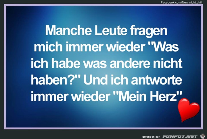 Manche Leute fragen mich... Manche Leute fragen mich...