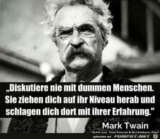 diskutiere nie mit dummen Menschen diskutiere nie mit dummen Menschen