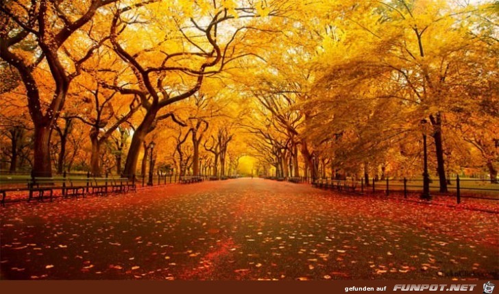 Tolle Orte, die du im Herbst besuchen kannst!