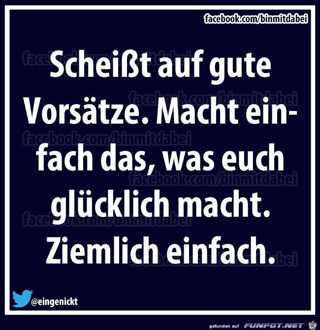 Scheißt auf gute Vorsaetze... Scheißt auf gute Vorsaetze...