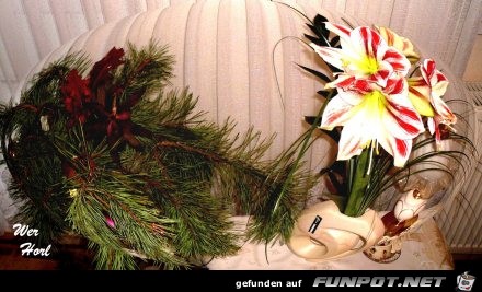 Ein paar Blumenbilder, die Werner in seinem Wohnzimmer...