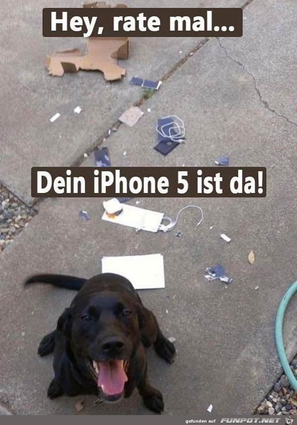 iPhone 5 iPhone 5
