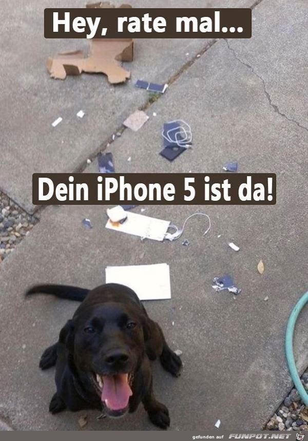 iPhone 5