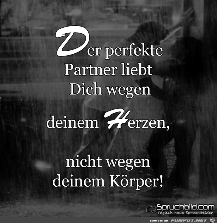 der perfekte Partner