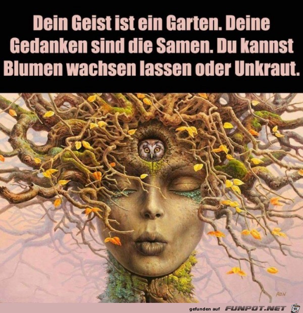 Dein Geist ist ein Garten...