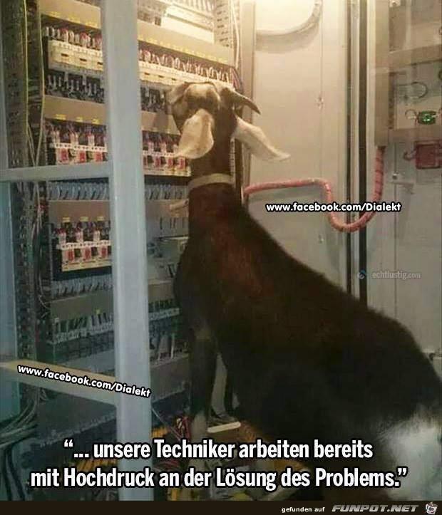 Unsere Techniker