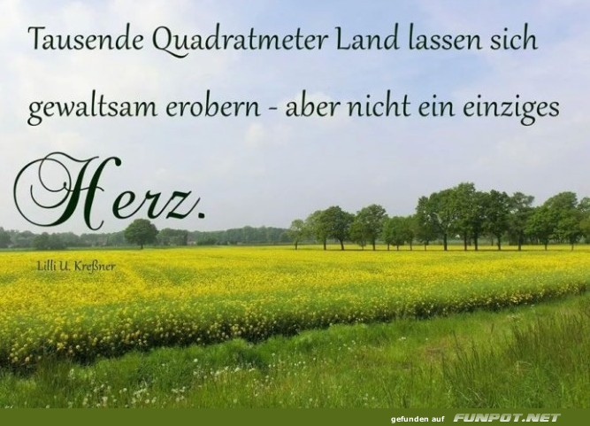 10 schne Sprche und Lebensweisheiten aus...