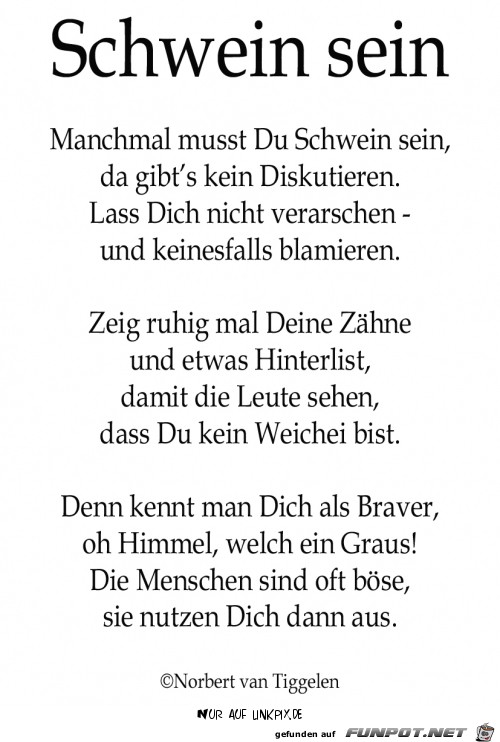 schwein sein schwein sein