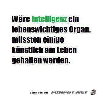 Intelligenz Intelligenz