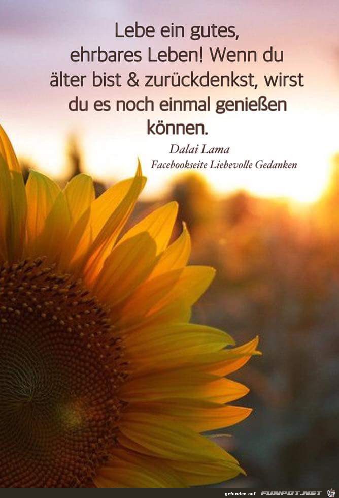 lebe ein gutes lebe ein gutes