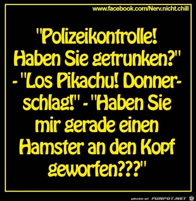 Polizeikontrolle Polizeikontrolle