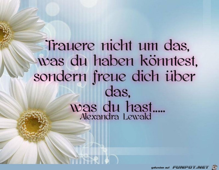 Trauere nicht Trauere nicht