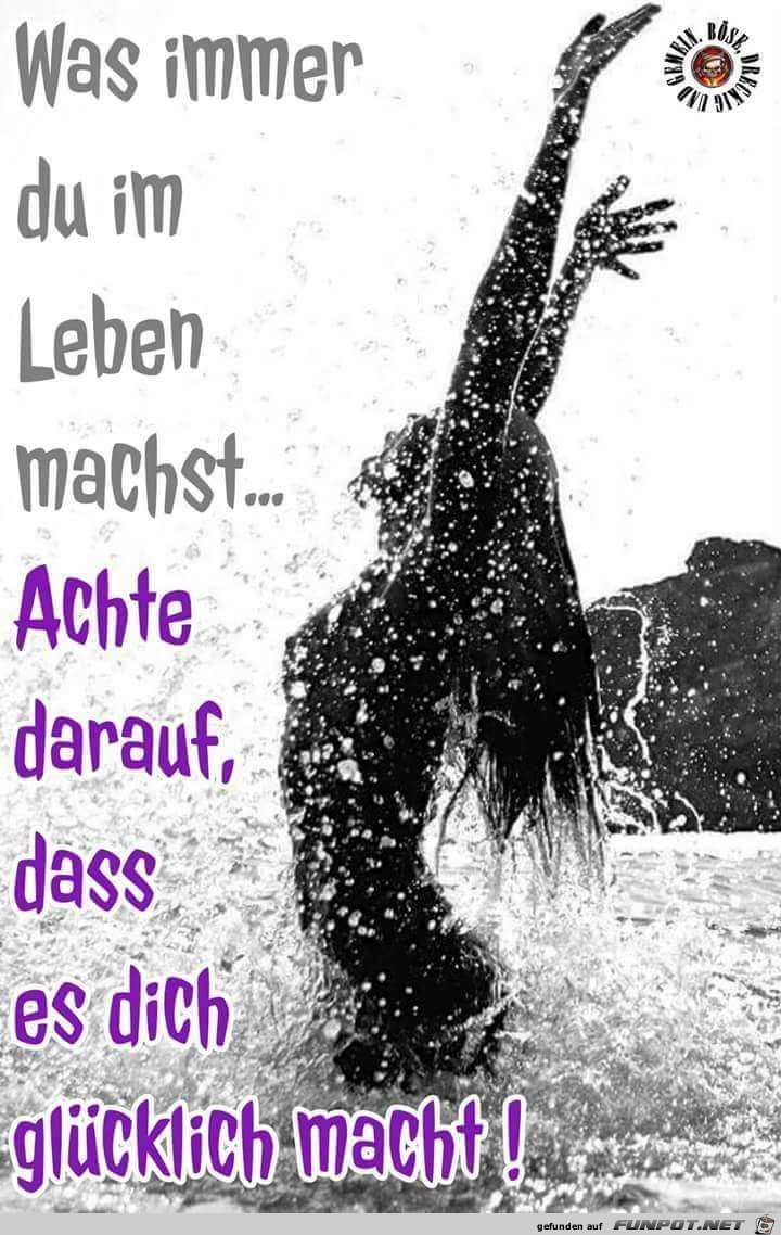 was immer was immer