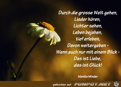 Durch die grosse Welt gehen