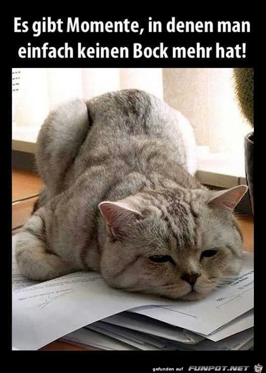 Keine Bock mehr Keine Bock mehr