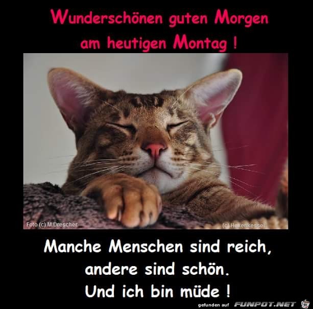 wunderschönen guten Morgen wunderschönen guten Morgen
