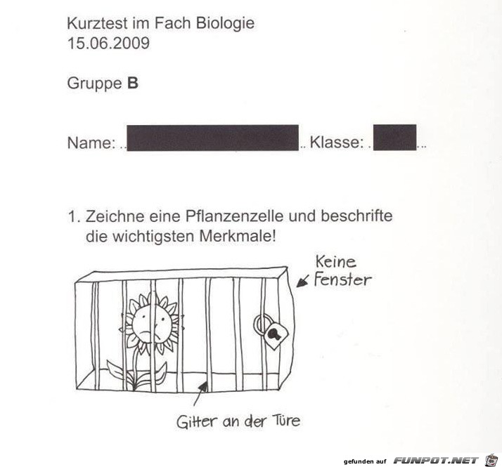 Pflanzenzelle Pflanzenzelle