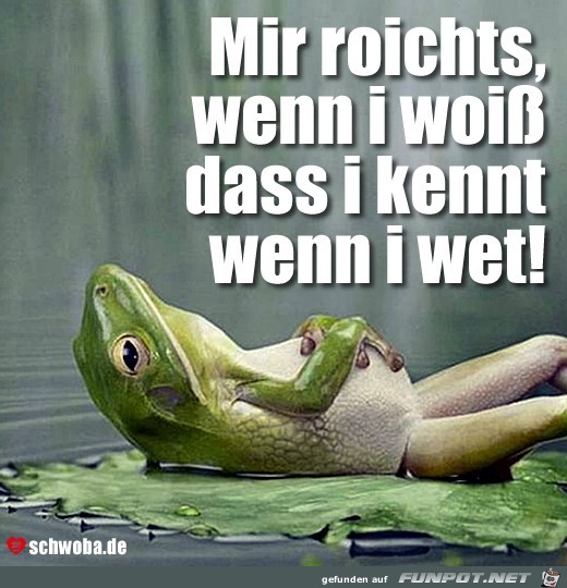 Wenn i kennt