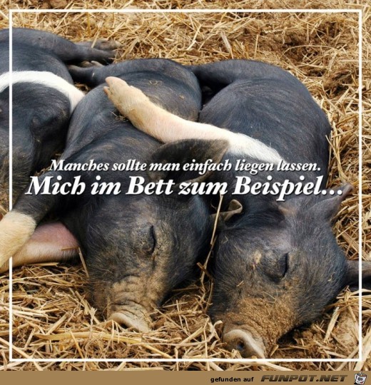 Zum Beispiel Zum Beispiel