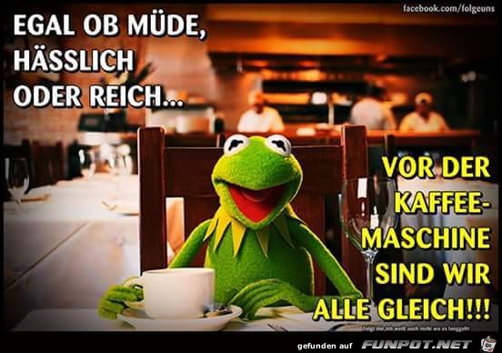 egal egal
