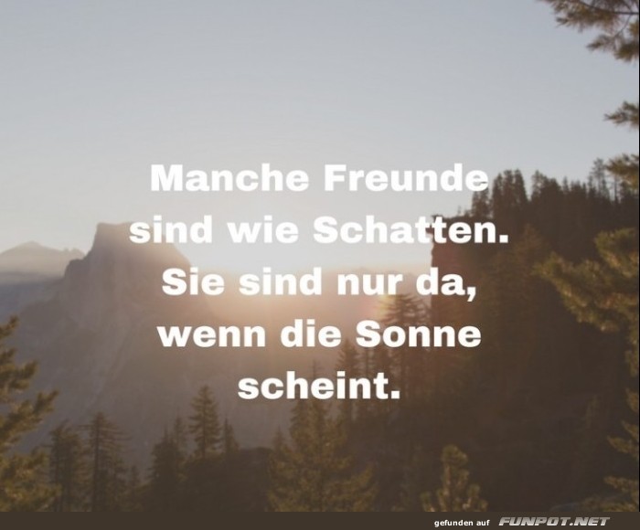 manche freunde sind